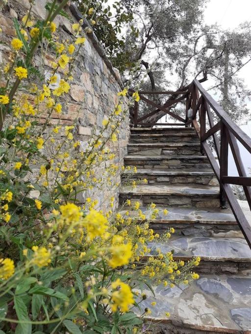 Limnionas Sunview Βίλα Ξορύχτι Εξωτερικό φωτογραφία